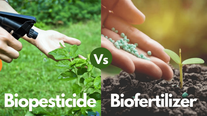 bio pesticides vs chemical pesticides