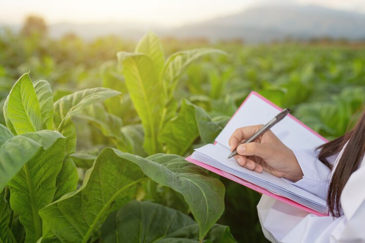 female-researchers-examined-tobacco