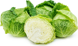 Savoy-Cabbage